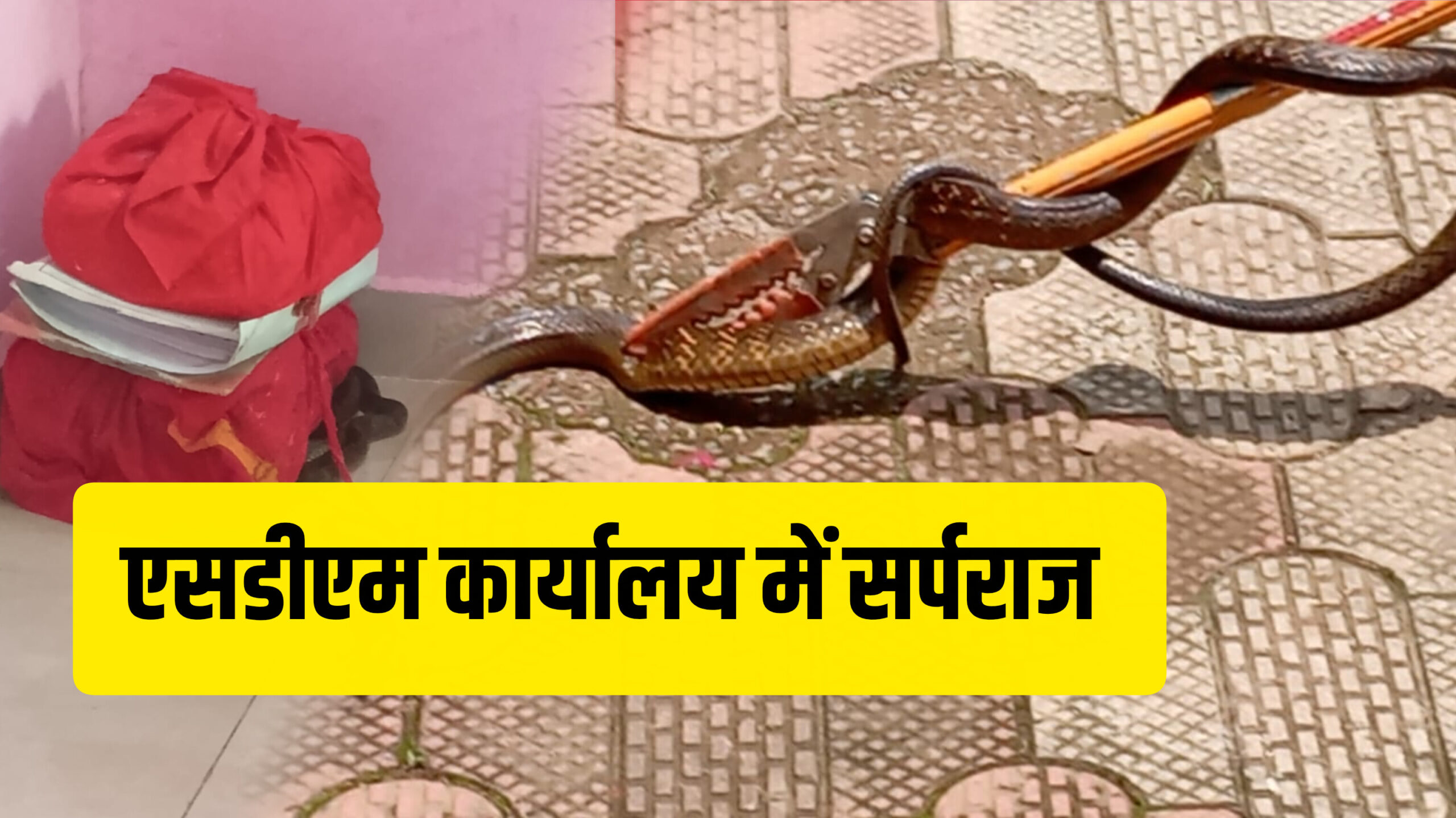 InShot 20250811 185933289 scaled