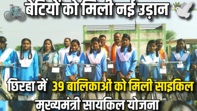 InShot 20251112 174435880