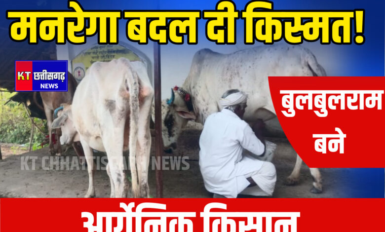 महात्मा गांधी नरेगा ने बदली बुलबुलराम की जिंदगी InShot 20251120 210917183