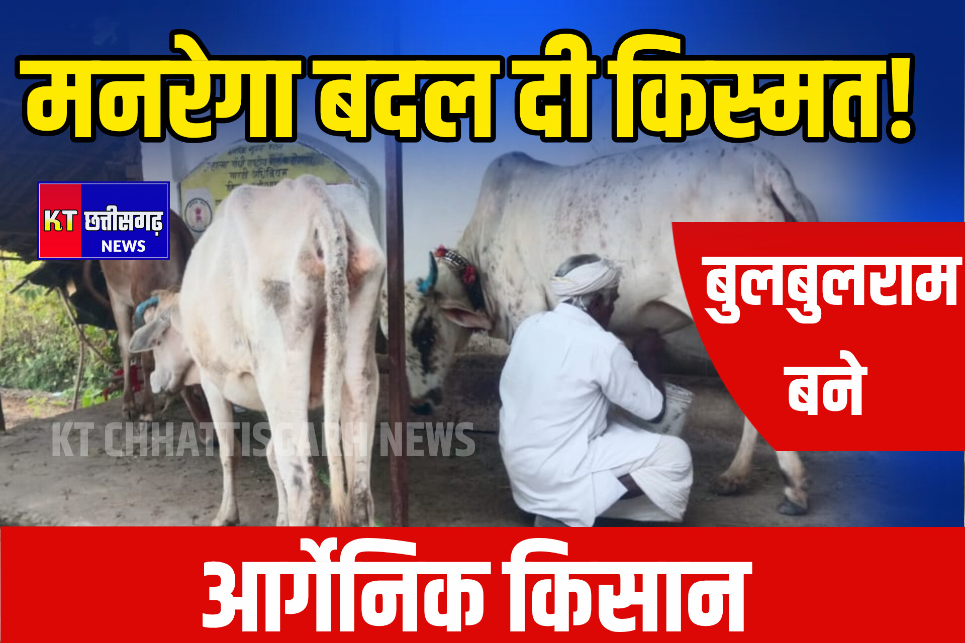 महात्मा गांधी नरेगा ने बदली बुलबुलराम की जिंदगी InShot 20251120 210917183