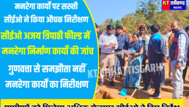 InShot 20251217 191923377