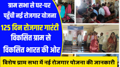 विशेष ग्राम सभाओं के माध्यम से घर-घर पहुँची ‘विकसित भारत रोजगार एवं आजीविका मिशन ग्रामीण (जी राम जी)’ की जानकारी InShot 20251227 133620375