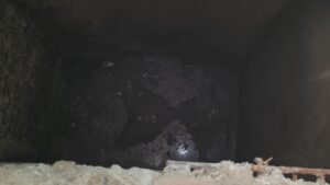 Videoshot 20251211 203806