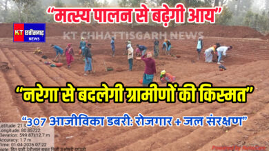 InShot 20260106 191037536