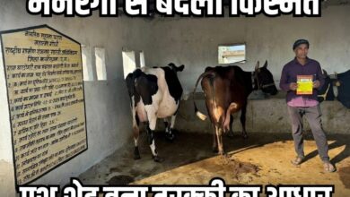 grok image 1770031575124