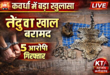 InShot 20260321 231104166