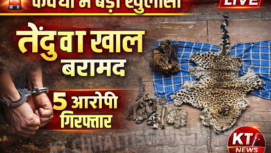 InShot 20260321 231104166