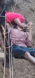 झटका तार बना काल: बेटे को बचाने दौड़े पिता की भी गई जान, खेत में करंट लगने से दोनों की दर्दनाक मौत IMG 20260703 WA0012