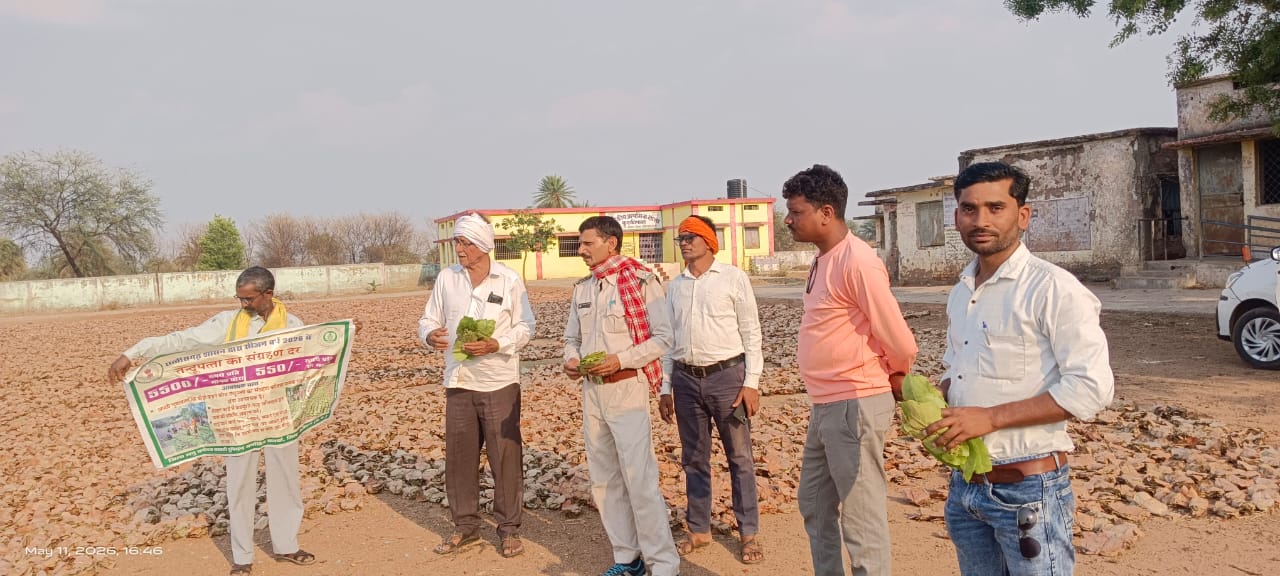 कवर्धा: 32 हजार से अधिक तेंदूपत्ता संग्राहकों के खातों में ₹22.03 करोड़, 2023 सीजन का बोनस वितरण भी शुरू IMG 20260708 WA0013